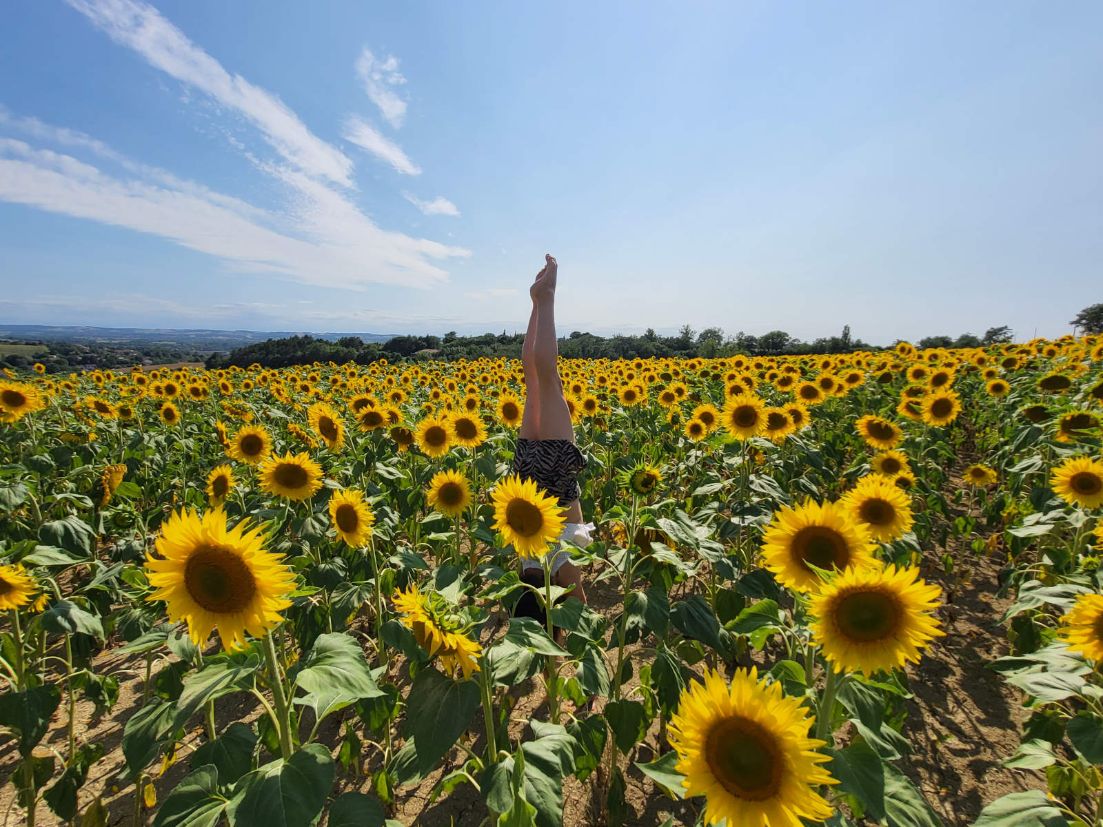 Smiling in a sunflower field